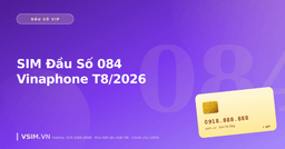 SIM Đầu Số 084 Vinaphone T8/2026 — Đặc Điểm, Giá, Phong Thủy